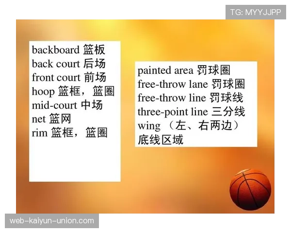 全面解读篮球前场规则的具体定义及违例判罚适用场景
